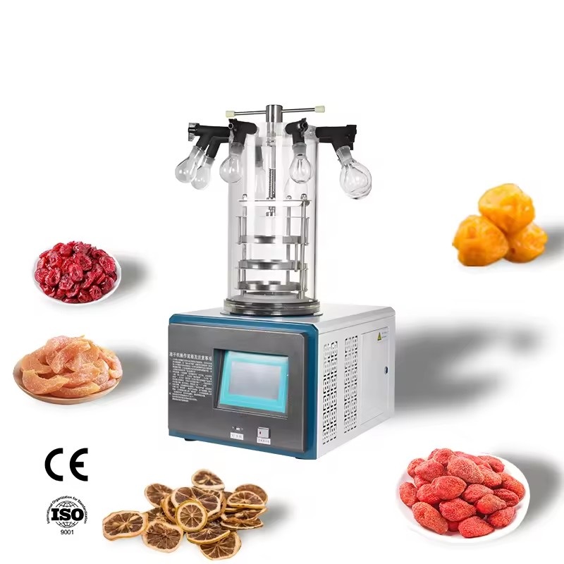 Low price freeze dryer mini vacuum lyophilizer food vegetable processing machines