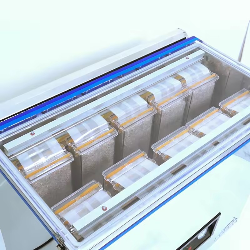 Automatic food rice grain vegetable beef fish vacuum machine single chamber sealer sealing machine