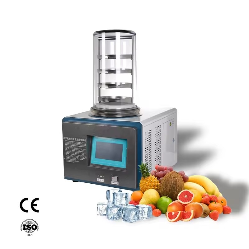 Low price freeze dryer mini vacuum lyophilizer food vegetable processing machines
