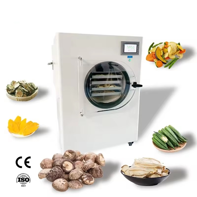 Best Price Vacuum Freeze Dryer Lyophilization Lyophilizer Machine