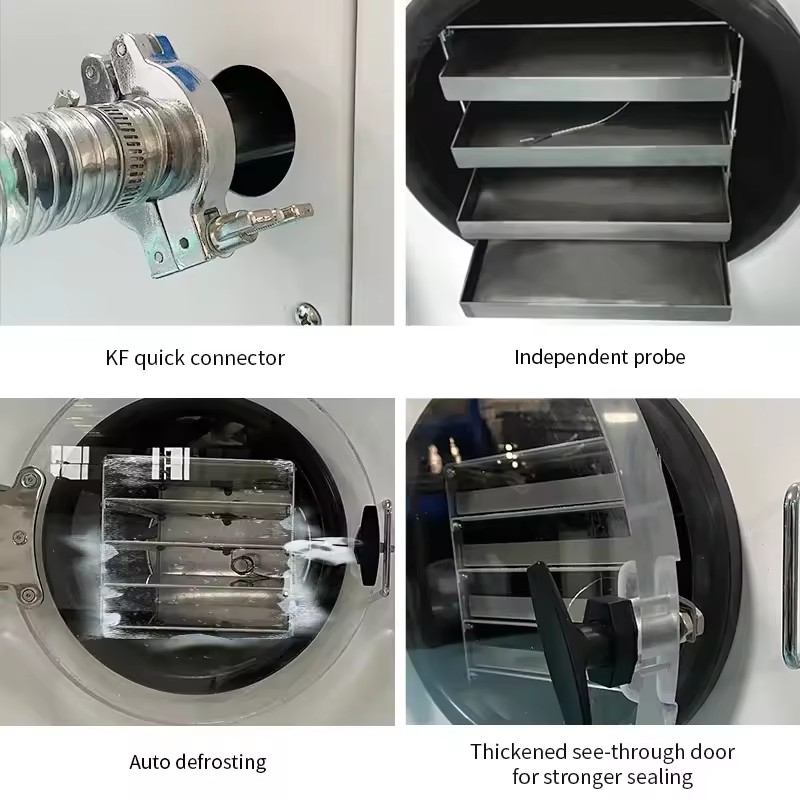 Best Price Vacuum Freeze Dryer Lyophilization Lyophilizer Machine
