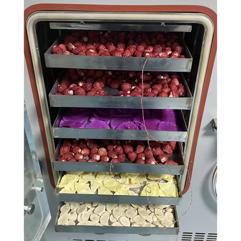 200 Large Capacity Laboratory Pilot Freeze Dryer freezing machine wholesale Price Synceray