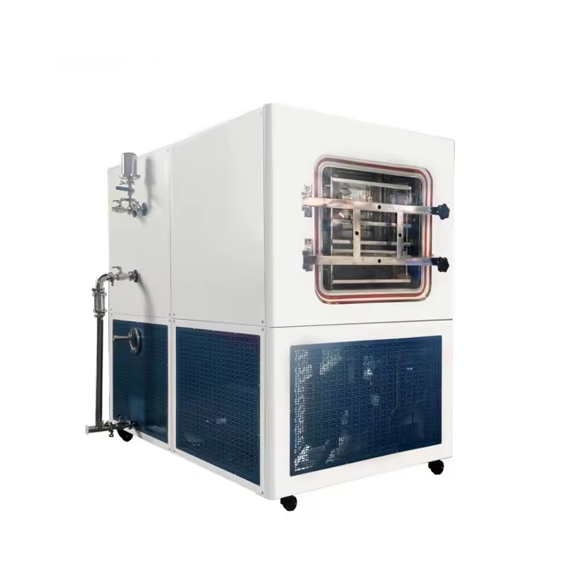 200 Large Capacity Laboratory Pilot Freeze Dryer freezing machine wholesale Price Synceray