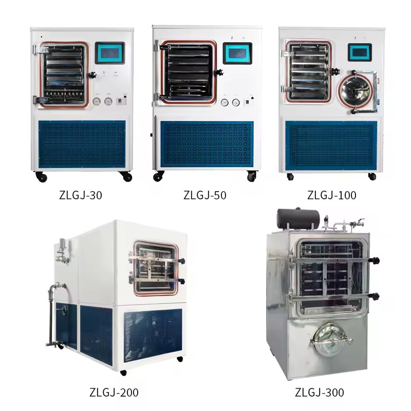 200 Large Capacity Laboratory Pilot Freeze Dryer freezing machine wholesale Price Synceray