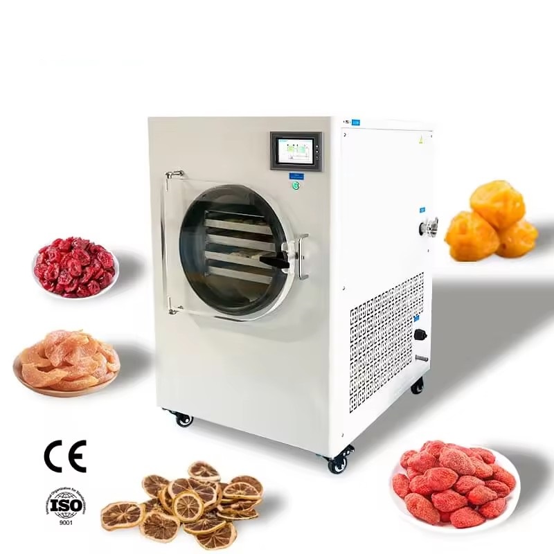 Laboratory Mini Freeze Dryer Machine Vertical Lab Lyophilizer With Vacuum Pump