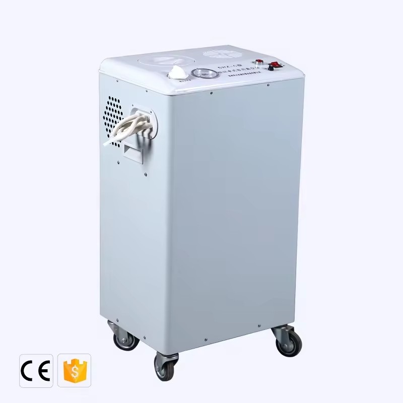 Lab Use Vertical Electric Circulating Water Hot Air Vacuum Pump