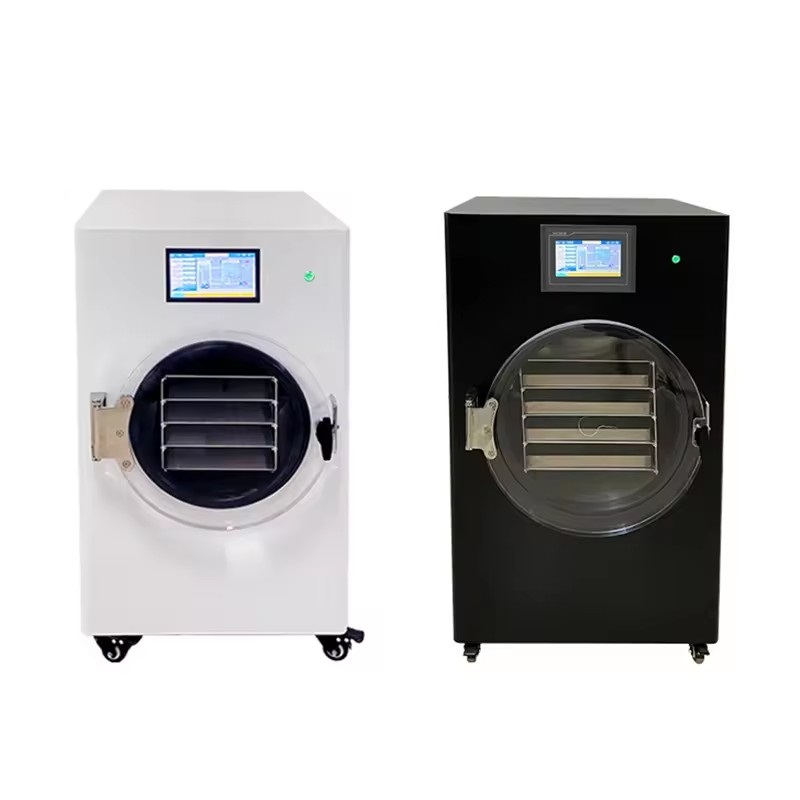 Small Size Freeze Dry Machine Freeze Dryer Vacuum Freeze Drying Equipment
