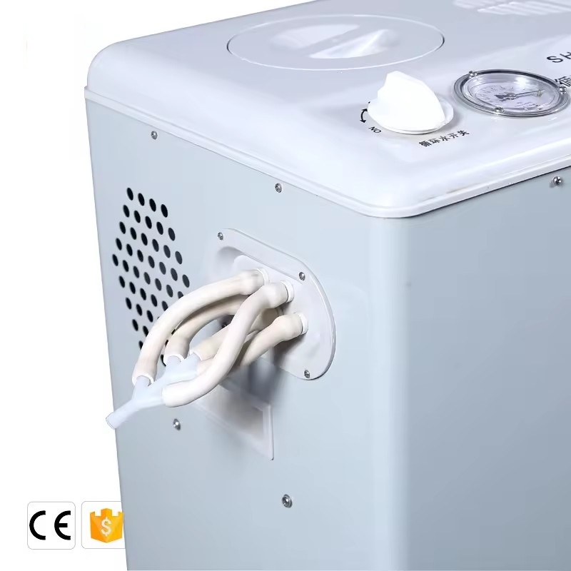 Lab Use Vertical Electric Circulating Water Hot Air Vacuum Pump