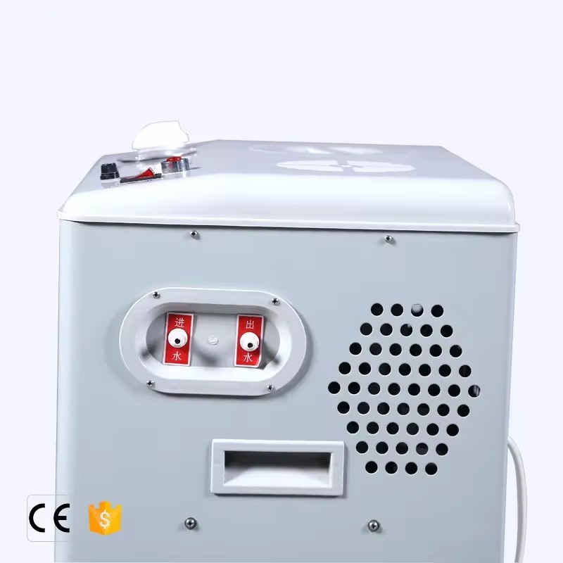 Lab Use Vertical Electric Circulating Water Hot Air Vacuum Pump
