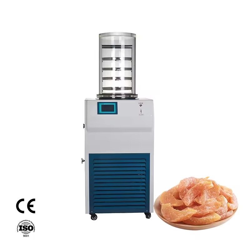 Vertical bulk Fruit Food Vegetable Vacuum Freeze Dryer