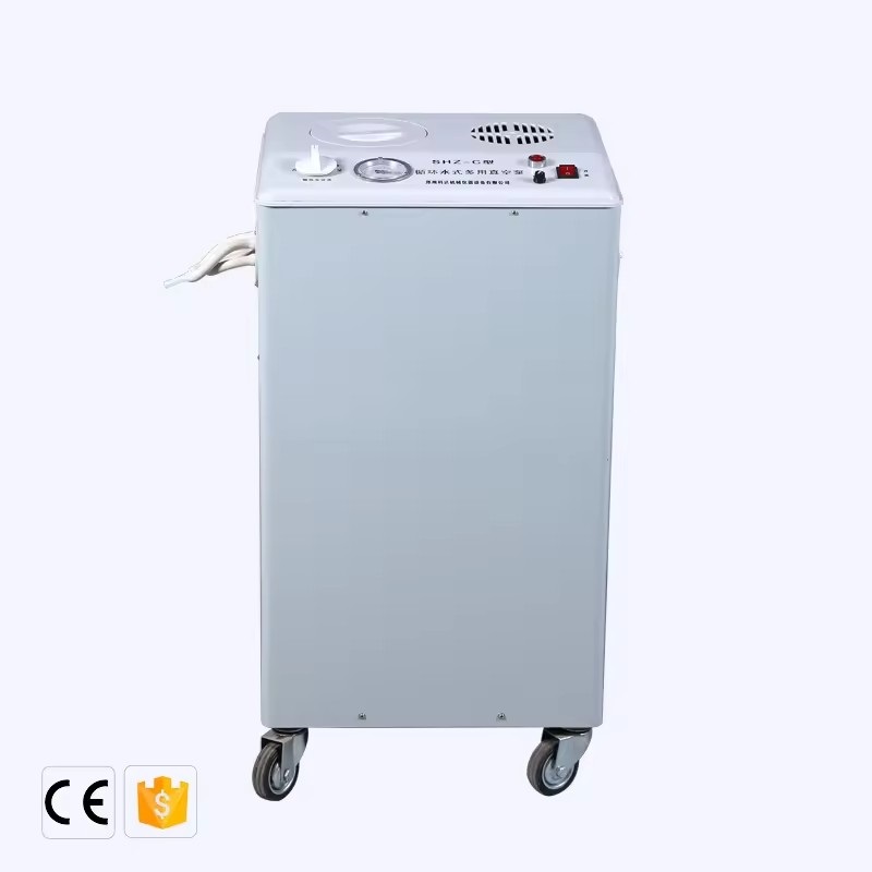 Lab Use Vertical Electric Circulating Water Hot Air Vacuum Pump