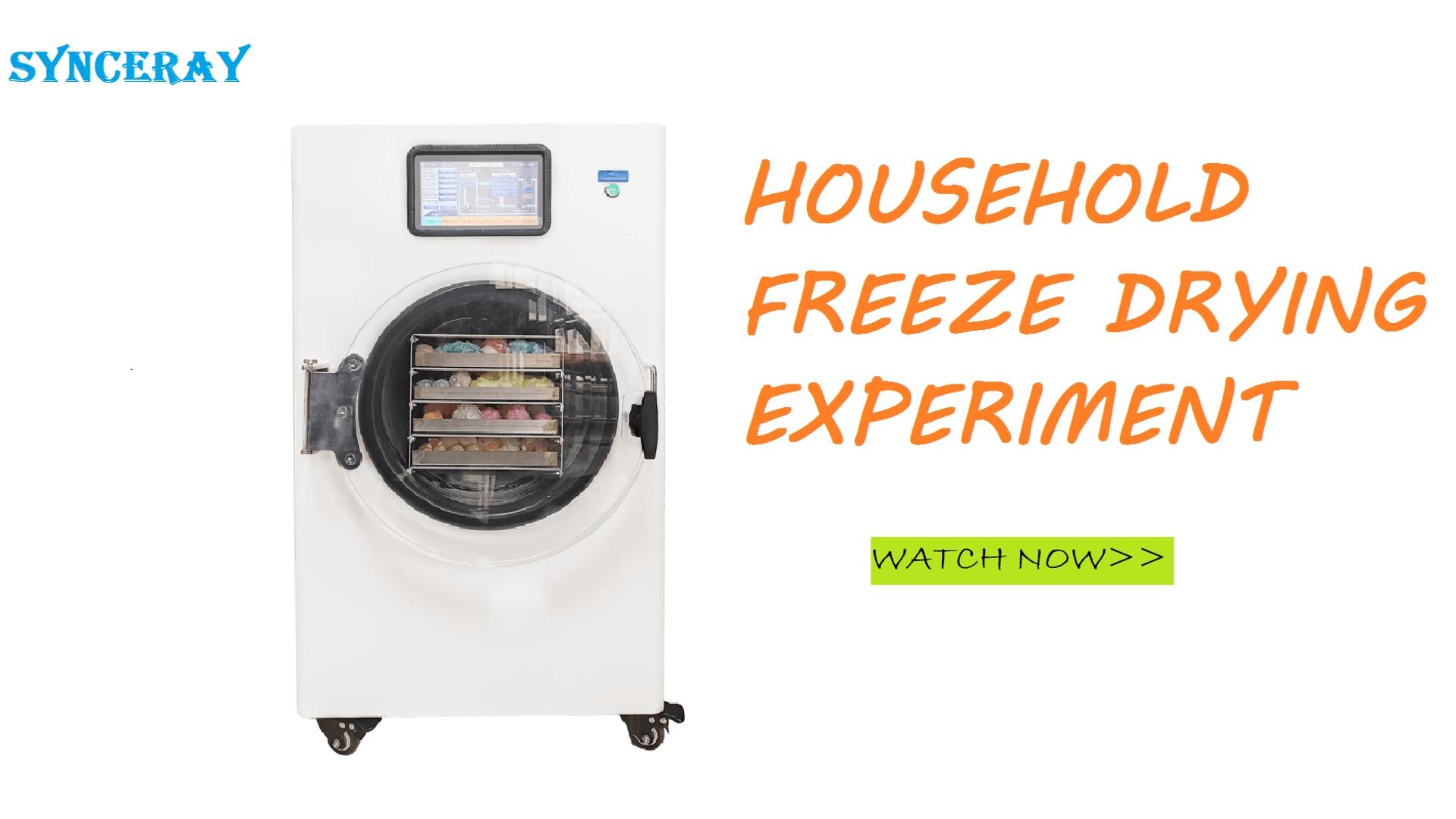 Household Mini Vacuum Freeze Dryer Machine home small fruit candy