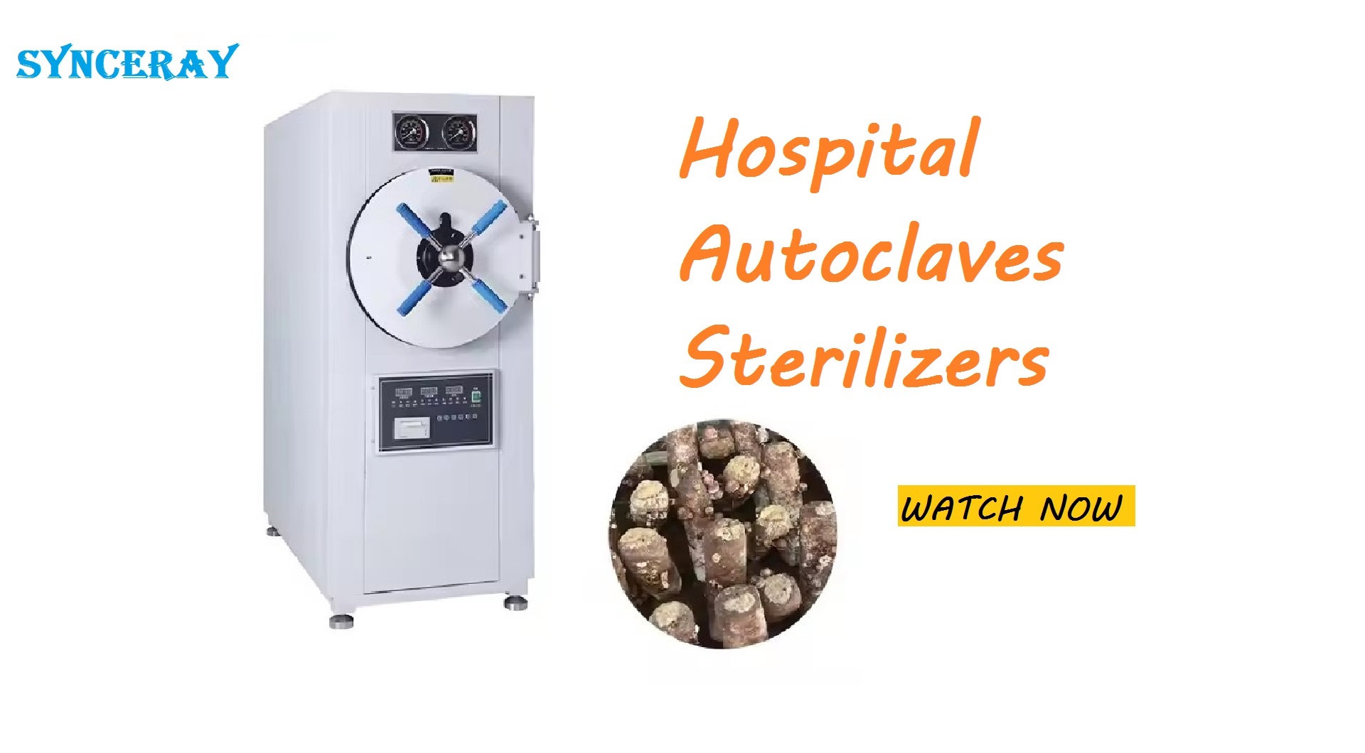 What is Horizontal Pulse Vacuum Autoclave ?